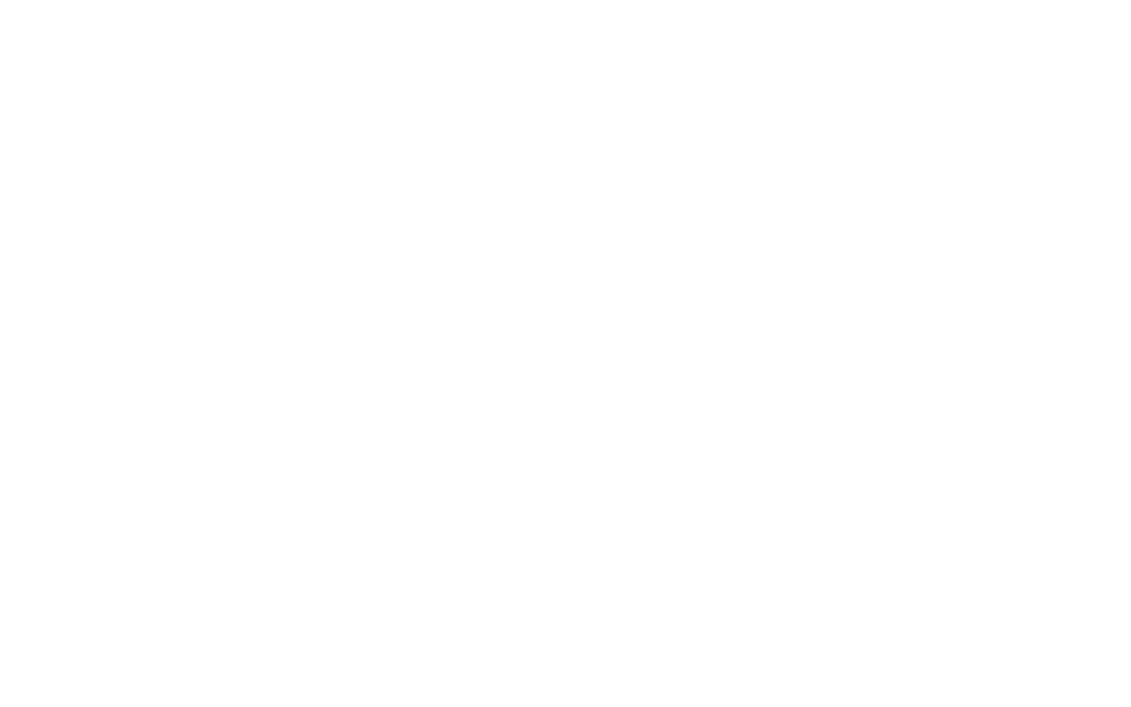 Zoom Logo