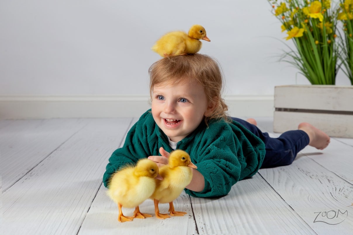 Baby Ducks kids portraits